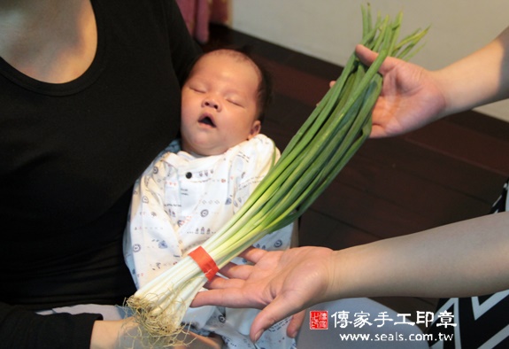楊寶寶(新北汐止區到府嬰兒寶寶滿月剃頭理髮、免費到府嬰兒剃胎毛儀式吉祥話)。到府剃頭剃胎毛主持、專業拍照、DVD光碟、證書。★購買「臍帶章、肚臍章、胎毛筆刷印章」贈送：剃頭、收涎、抓周，三選一。2015.11.20 照片12